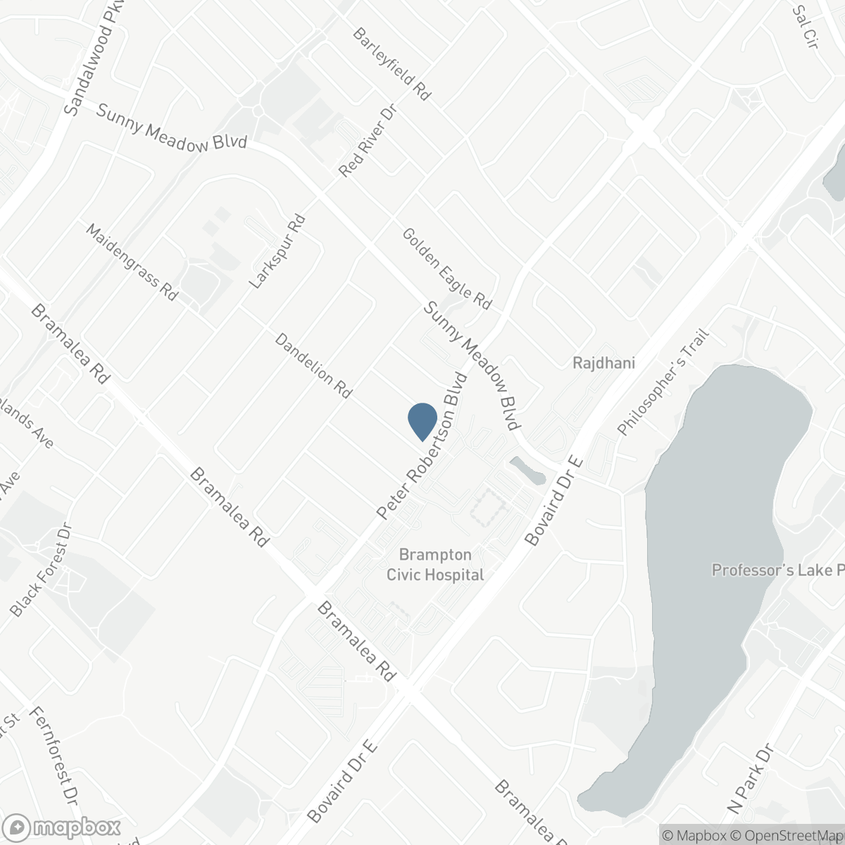 46 DUSTY STAR ROAD, Brampton, Ontario L6R 1Y1